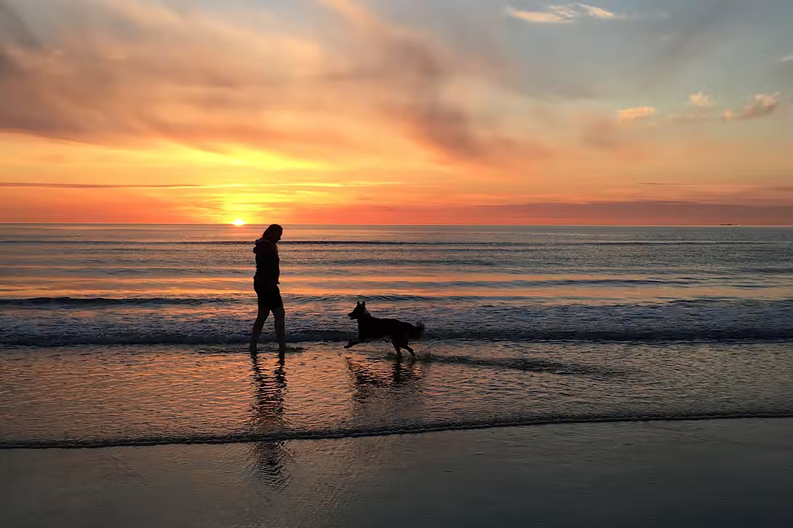 Fra din plads kan du nå stranden via en direkte sti gennem klitterne. Copyright: Skiveren Camping
